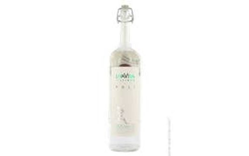 Poli Moscato Grappa (Distillerie D'Uva)